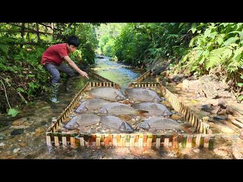 Amazing fishing skills The boy Lam uses bamboo to make