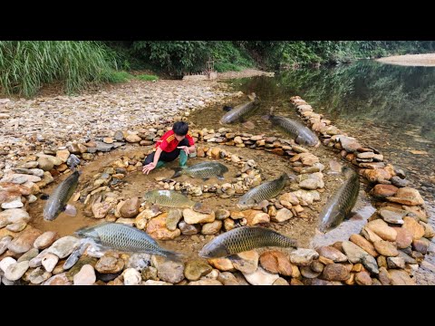 Lam s fishing skills arranging rocks to form a spiral trap