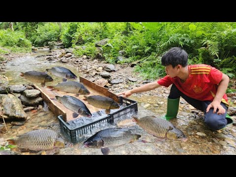 Survival skills Use a wooden slide to catch fish And catch
