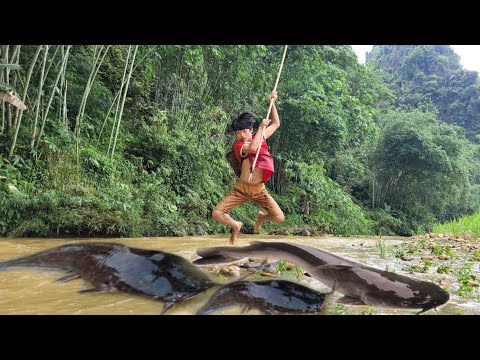 The boy caught a huge school of fish in a large stream