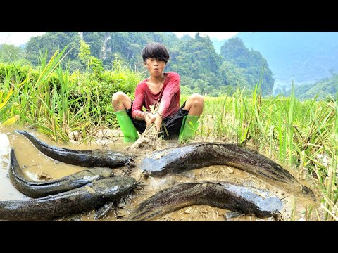 The boy caught many large catfish in the field and sold