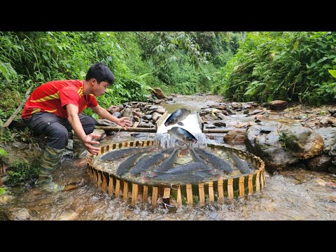 Fishing by the ancient method The boy Lam caught a lot of