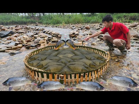 The technique involves trapping fish using plastic pipes