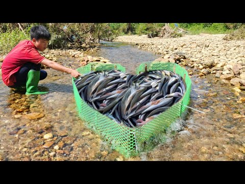 Use green plastic net to make fish trap in the stream and