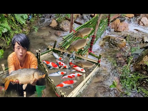 Lam used bamboo to make a fish trap Luckily Lam caught many