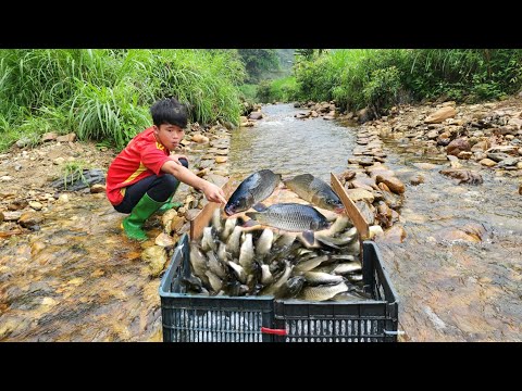 The boy used a wooden slide to trap fish and unexpectedly
