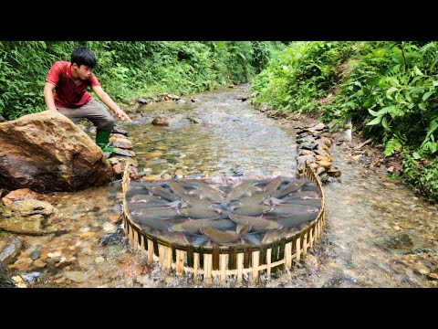 The boy made a fish trap using the ancient method Luckily