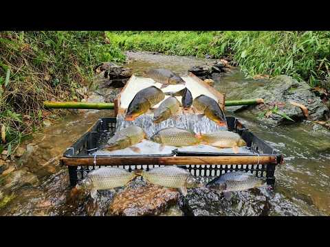These effective and easy to follow fishing techniques
