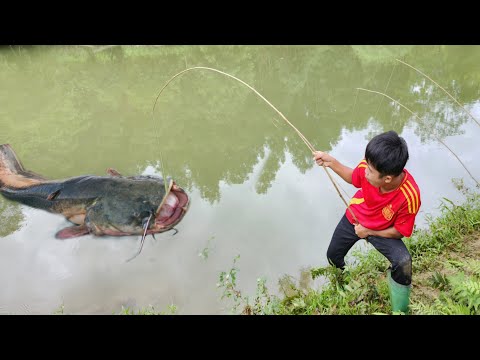 Boy Lam took his fishing rod to the lake and unexpectedly