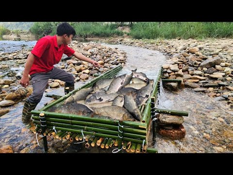 The young man went back to check his fish trap and was