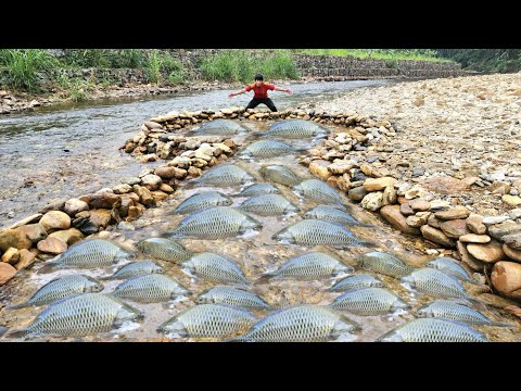 Unique way to trap fish in streams Arrange rocks to form a