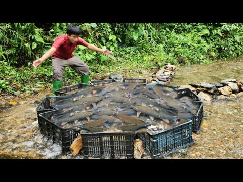 The boy Lam used a black trash can to make a fish trap in