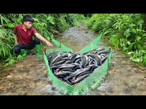 Use green net and heart shape to catch fish in the stream