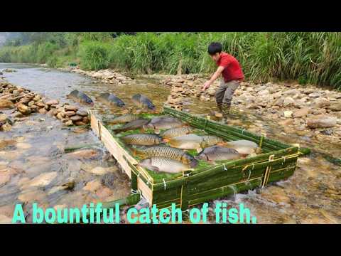 Lam caught a lot of fish in the traps he made himself and