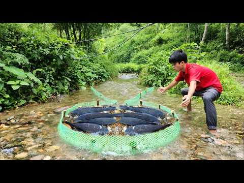 The boy used bamboo sticks and a green net to make a fish