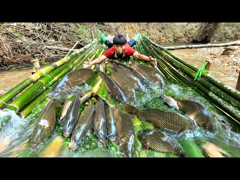 The boy caught fish using the ancient method He caught all