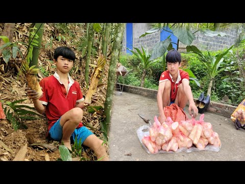 The wandering boy went to the forest to find bamboo shoots