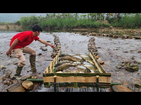 The ancient method of trapping fish used bamboo to make