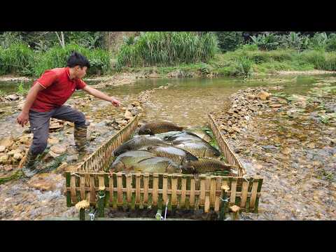 Full video of 90 days of setting traps to catch fish in the