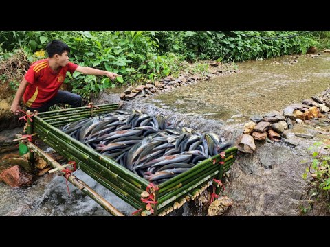 Young man makes bamboo trap Unexpectedly catches a large