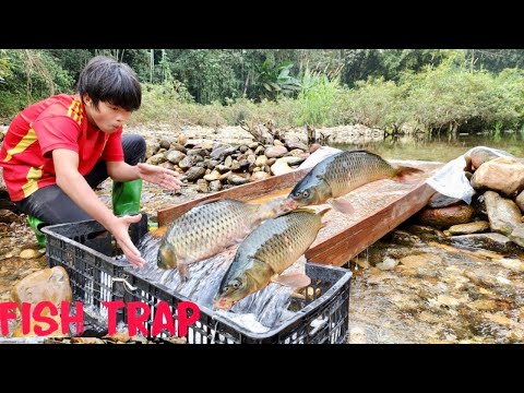 Full video 28 days Boy shows fishing skills using many