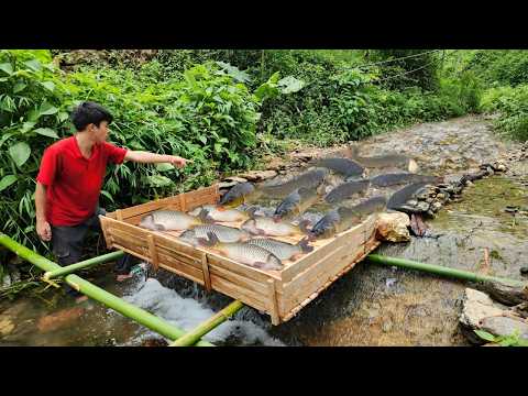 How to trap fish in small dams join wooden planks together