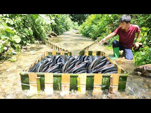The boy Lam made a bamboo fish trap and caught a lot of