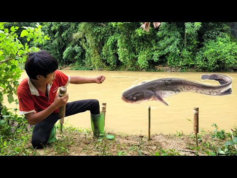 The boy s super cool bamboo tube fishing technique caught a