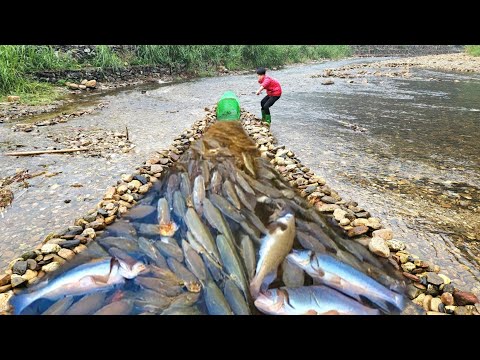 The boy stacked rocks in the stream to form a bank and set
