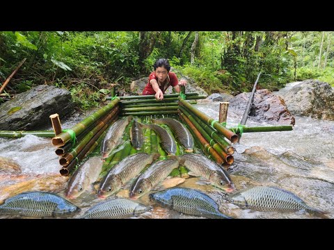 The boy Lam created a unique fish trap and caught many fish