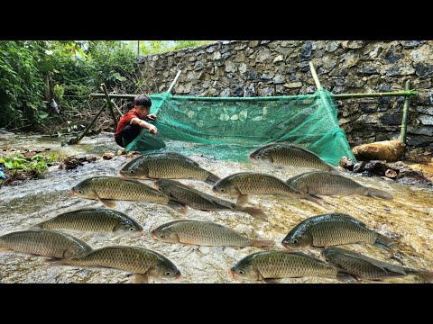 The boy Lam used a green net to trap fish in the stream and