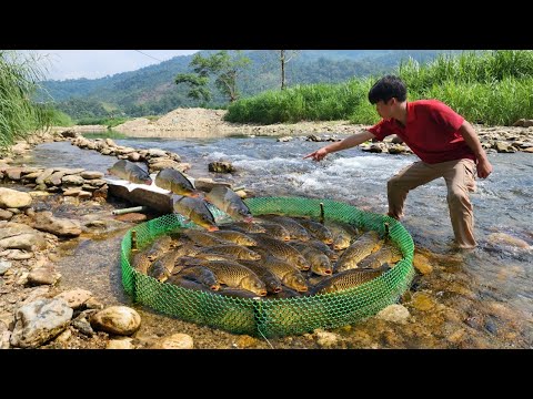How to trap fish in a stream using a wooden slide and green