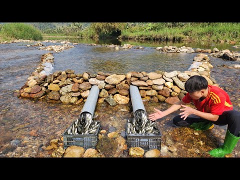 The boy stacked rocks to block the stream and placed
