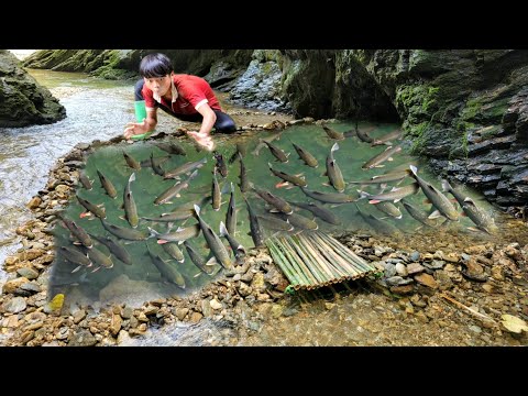 Boy Lam created a very unique way to trap fish to catch