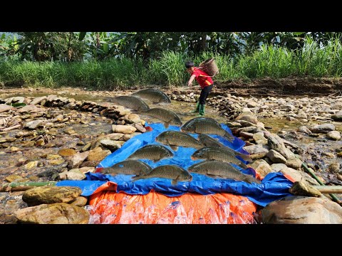The boy Lam s unique way of trapping fish luckily caught