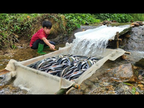 The boy Lam s excellent fishing skills Luckily caught a big