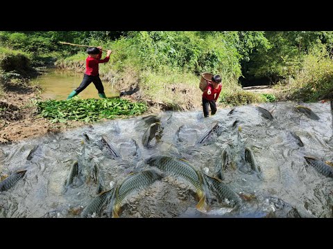 Discovered a school of fish Lam took leaves and crushed