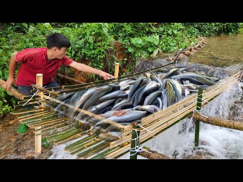 31 day journey of making fish traps in the wild And the boy