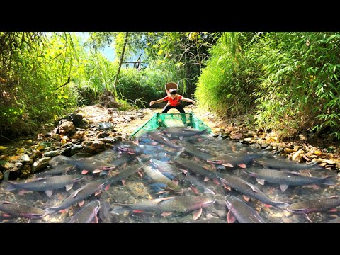 The boy set a net to make a trap to catch fish in the