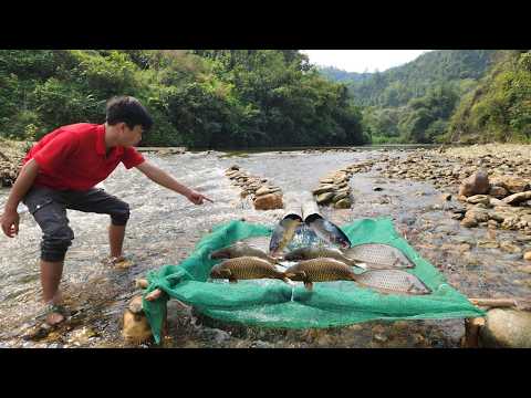 Using PVC pipes to trap fish in large streams Surprisingly
