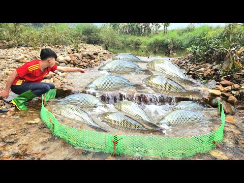 Fish trap The excellent fish trapping skills of the boy Lam