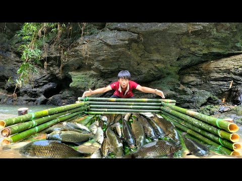 Full video The boy made a primitive fish trap and caught