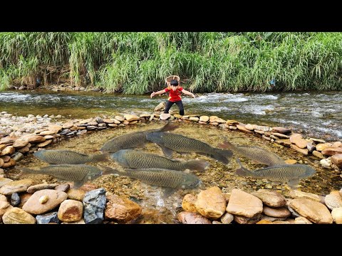 The boy arranged rocks to create a very unique fish trap