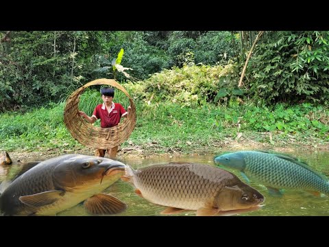 Catching fish with a bamboo basket using rudimentary skills