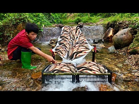 The clever boy used bamboo and tarpaulin to make a fish