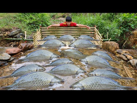 Boy Lam made an ancient fish trap in the stream Luckily