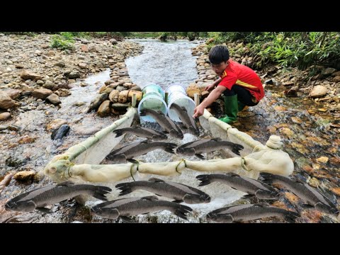 Video of 45 days of boy Lam making fish traps in the stream