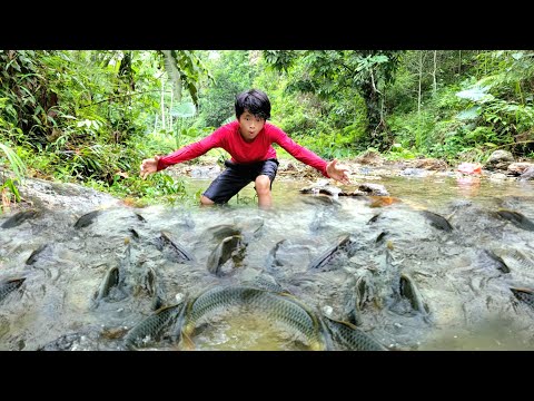 discovered a school of fish The boy went to get crushed