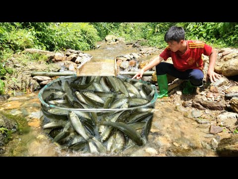 The boy caught a large haul of fish from a fish trap he