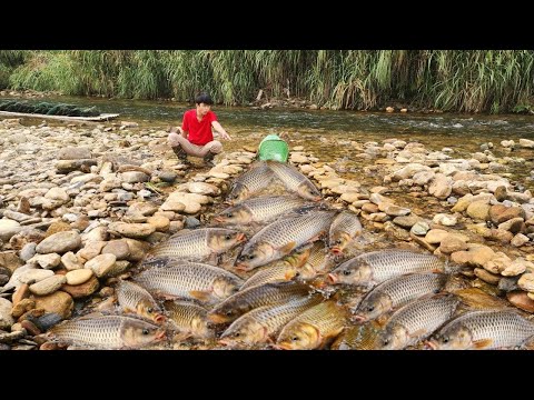 The boy Lam set a fish trap in the stream Unexpectedly he